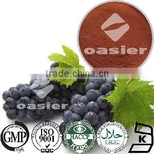 Grape Seed Oil Extraction Machine Vitis Vininfera L. 95% OPC 80%-90% Polyphenols thumbnail-1