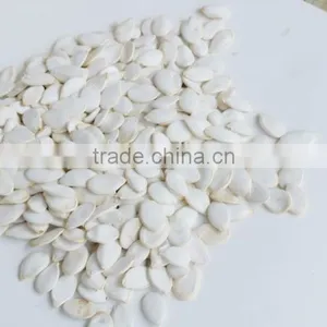 Crop Top Wholesale Snow White Pumpkin Seeds for Sale thumbnail-3