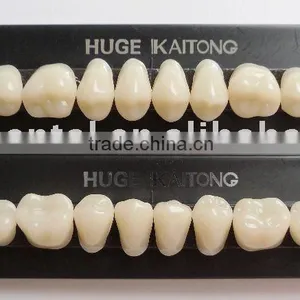 KAITONG Posterior 30M False Teeth SYNTHETIC POLYMER PMMA thumbnail-1