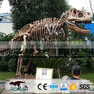OA4126 High Quality Dinosaur Skeleton Model thumbnail-3