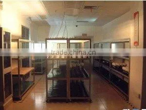 Startac International Co., Ltd. company overview - view 2 thumbnail
