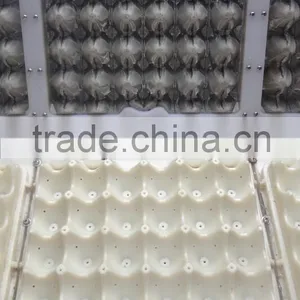 Automatic and High Capacity Egg Tray Making Machine Production Line thumbnail-2