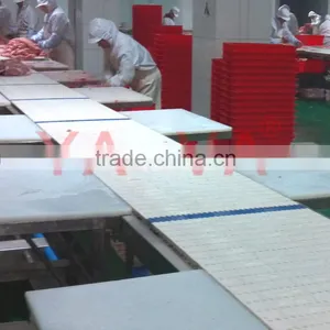 Food Conveyor for Slaughtering Industry/modular Belt Conveyor Line thumbnail-1