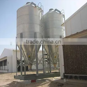 Professional Broiler Chicken House Building thumbnail-2