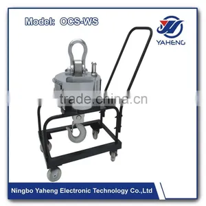 HYPS Industry Weighing With Hook Weighing 100t thumbnail-3