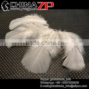 CHINAZP Good Quality Plumage Wholesale Dyed Ivory Turkey T-Base Body Feathers for Sale thumbnail-1