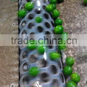 Fresh Lime Best Price and Best Quality thumbnail-1