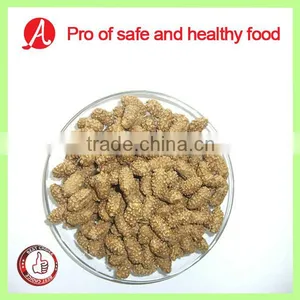 Coated Peanut thumbnail-1