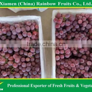 Fresh Red Globe Grape From Yunnan Xinjiang China thumbnail-6