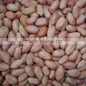 Chinese Red Skin Peanut Kernel thumbnail-1