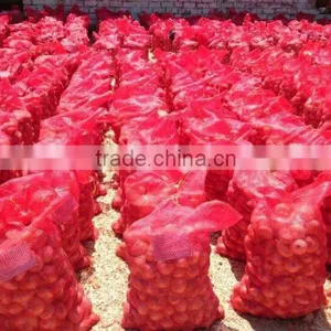 ONION SIZES ( 40 - 60 - 50 - 70 - 60 - 80 - up to 100 mm ) thumbnail-5