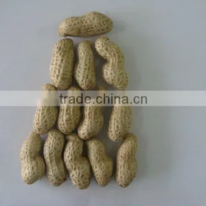 Peanut in Shell thumbnail-1