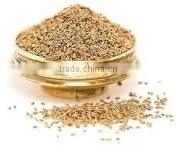 Ajwain Seeds thumbnail-4