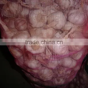 Well-chosen Top Quality Dehydrated Pure White Garlic in Carton thumbnail-3