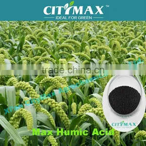 Humus Fertilizer Organic Fertilizers thumbnail-1