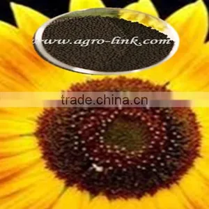 Chelated Humic Acid Particles thumbnail-2