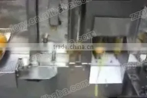 CE Approved High-Rate Automatic Orange Peel Machine, Orange Peeling Machine thumbnail-3