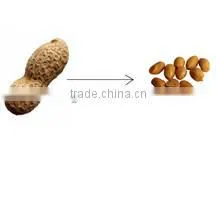 High Efficiency!!!Peanut Sheller/Peanut Machine for Removing the Hard Shell /peanut Peeler/peeling Machine thumbnail-4