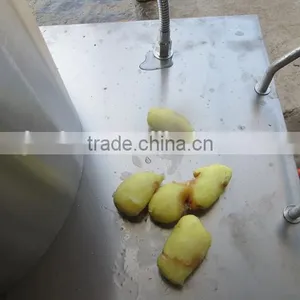 2015 Promotion Electric Potato Peeler thumbnail-4