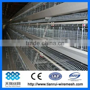Automatic A Type Chicken Cage System thumbnail-1