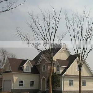 Light Steel Structure Villa thumbnail-1