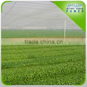 Best Selling Anti Insect Net for Greenhouse thumbnail-1