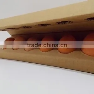 HT-D100 Automatic Egg Packing Machine From China thumbnail-2