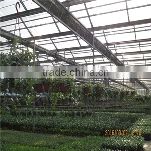 Hot Sale Poly Green House in India thumbnail-1