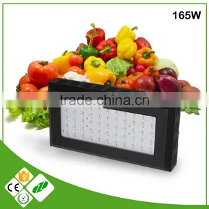 Designer Goods From Twilight Group China Cree Led Grow Light 2016 Looking for Exclusive Distributor thumbnail-1