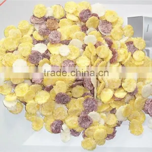Best Sale!Nutritional&Healthy Breakfast Cereals/Corn Flakes Production Line/processing Line thumbnail-1