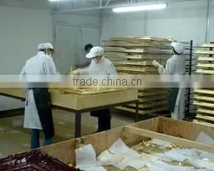 Target Industrial & Trade Xiamen Co., Ltd. company overview - view 2 thumbnail