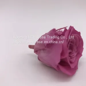Preserved Rose Flowers for Wedding Decoration Flower Arrangement thumbnail-2