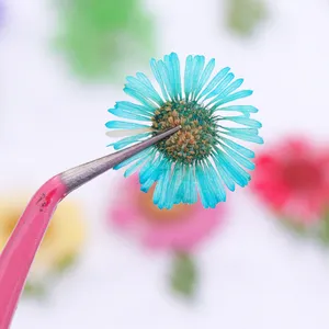 Natural Floral Leaf Stickers Babysbreath Dry Flower Tiny Dried Flowers For Nail Art thumbnail-1