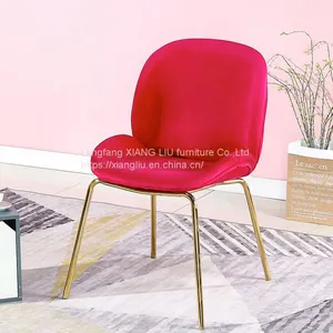 Wholesale Hotel Modern Metal Dining Chair thumbnail-1