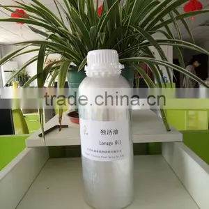 Lovage Oil thumbnail-1