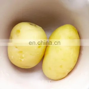 Industrial High Pressure Potato Instant Steam Peeling Machine for Frozen French Fries thumbnail-2