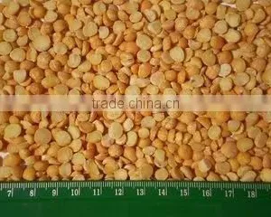 Yellow Split Peas Ukraine thumbnail-3
