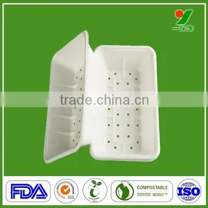 Accept Custom Order Low Price Biodegradable Punnets Packing Fruits thumbnail-1