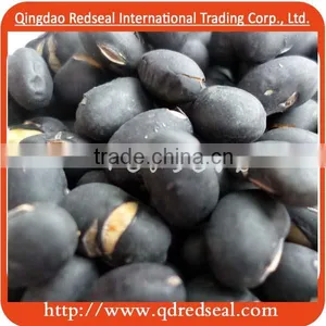 Nature Roasted Black Bean thumbnail-1