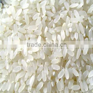 800KG/H Nutrition Rice Processing Machine thumbnail-1