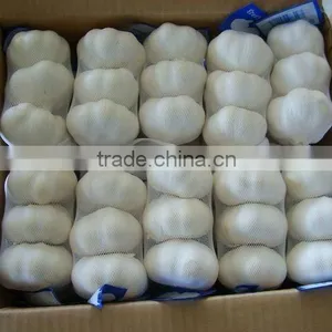 Chinese Garlic Health Benefit thumbnail-1