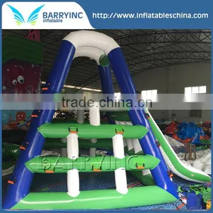 Air Sealed Lake Giant Inflatable Water Slide for Adult , Water Slide Combo thumbnail-1
