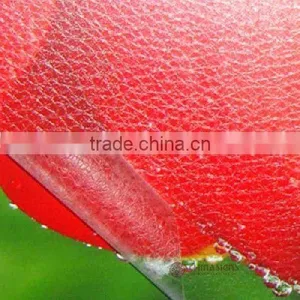 Fine Frosted Shape Film for Photo Studio Use thumbnail-1