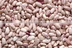 Best Price New Crop Light Speckled Kidney Beans With Good Quality thumbnail-1