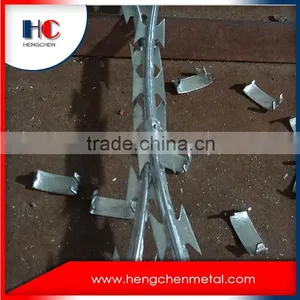 Hot Sale Concertina Razor Barb Wire thumbnail-4