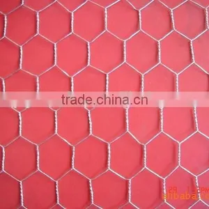 Galvanized, Pvc Coated Hexagonal Wire Mesh, Chicken Mesh Fence, Twisted Mesh thumbnail-2