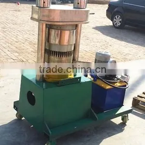Hot Sale DL-ZYJ01Y Small Olive Oil Press for Sale thumbnail-2
