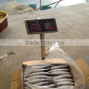 Exporter of Frozen Pacific Mackerel Competitive Price thumbnail-1