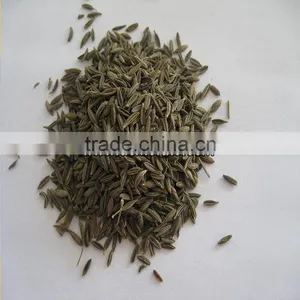 Chinese Black Cumin Seeds thumbnail-6