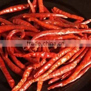 Hot Dried Chilli Red thumbnail-1